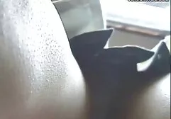 उमस भरी बीबीडब्ल्यू बड़े स्तन सह खो दिया है हॉट मूवी सेक्सी फिल्म